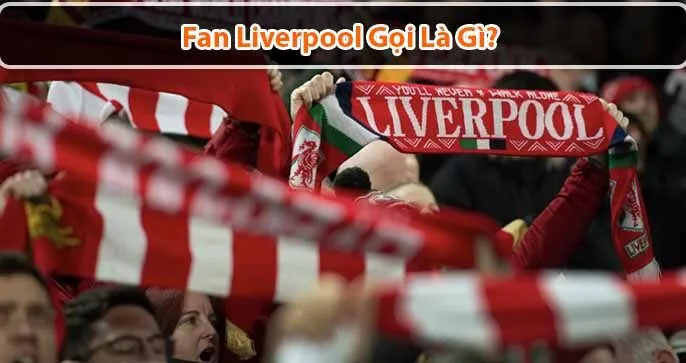 Fan Liverpool Gọi Là Gì? Tìm Hiểu Sự Trung Thành Của Cổ Động Viên