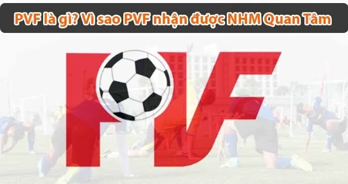 PVF: Trung Tâm Đào Tạo Bóng Đá Hàng Đầu Việt Nam